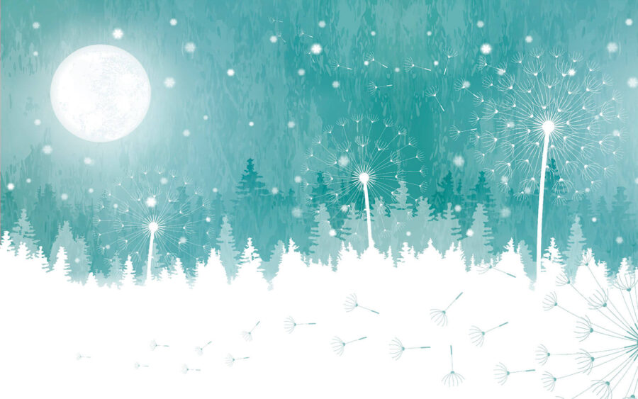 Mond über einem verschneiten Wald Mond über einem verschneiten Wald