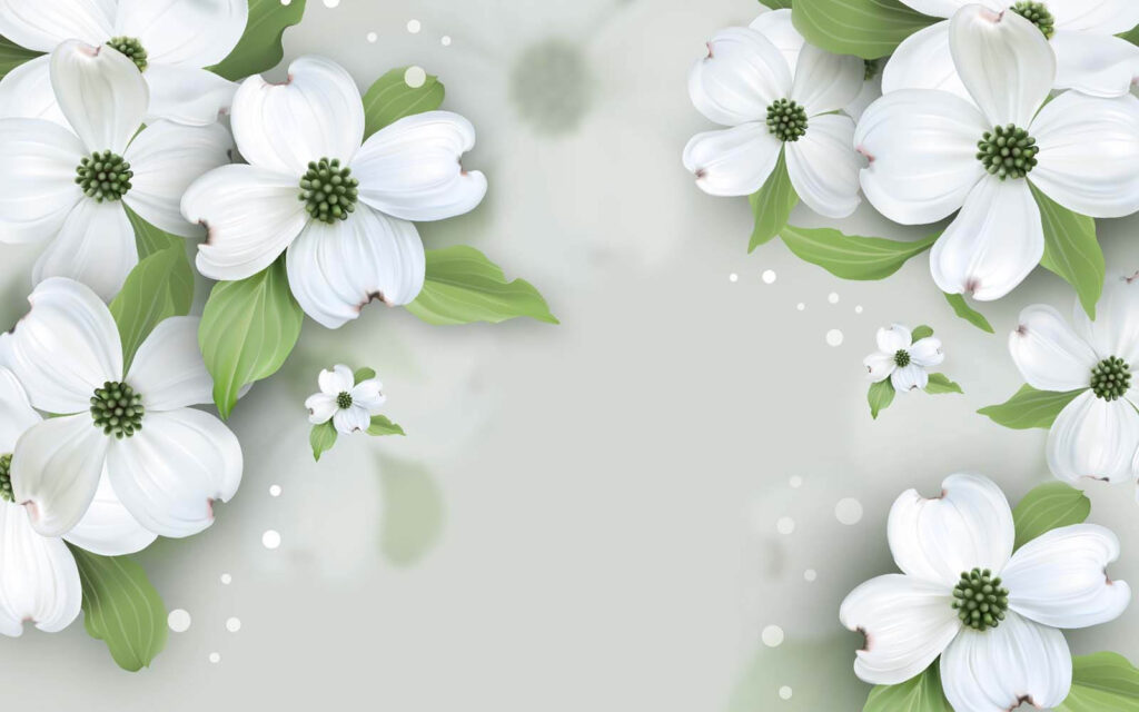 Weiße Blüten mit grünen Blättern Weiße Blüten mit grünen Blättern