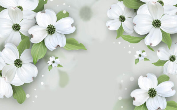 Weiße Blüten mit grünen Blättern Weiße Blüten mit grünen Blättern