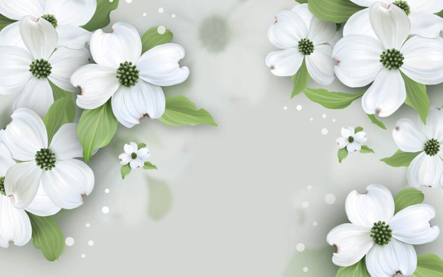Weiße Blüten mit grünen Blättern