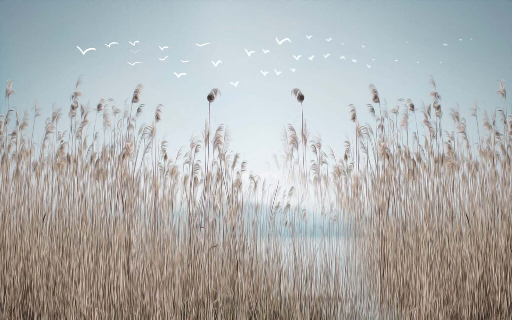 Gruppe von hohem Gras mit Vögeln fliegen in den Himmel Gruppe von hohem Gras mit Vögeln fliegen in den Himmel