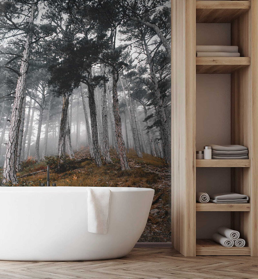 Wald mit Bäumen im Nebel