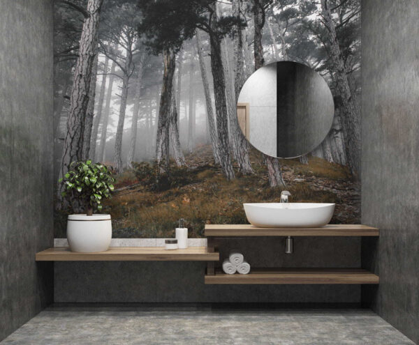 Wald mit Bäumen im Nebel Wald mit Bäumen im Nebel