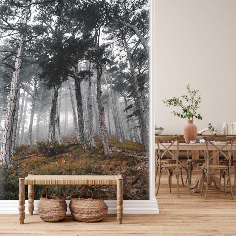 Wald mit Bäumen im Nebel