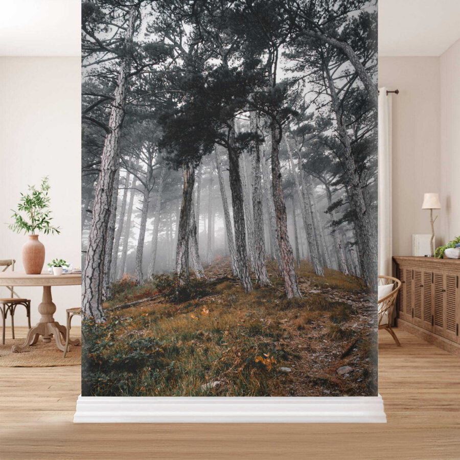 Wald mit Bäumen im Nebel