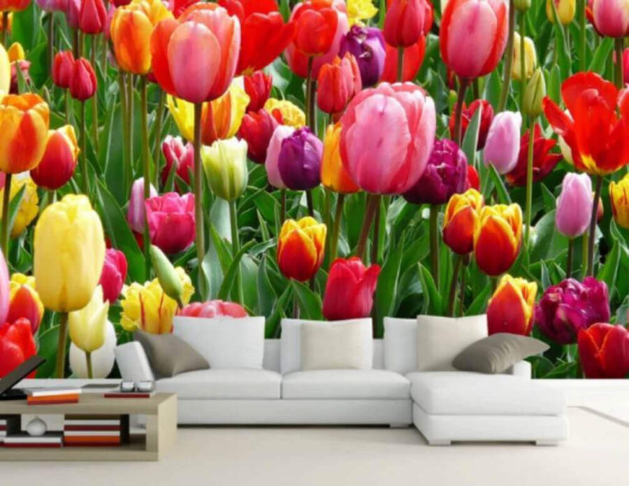 Gruppe von bunten Tulpen