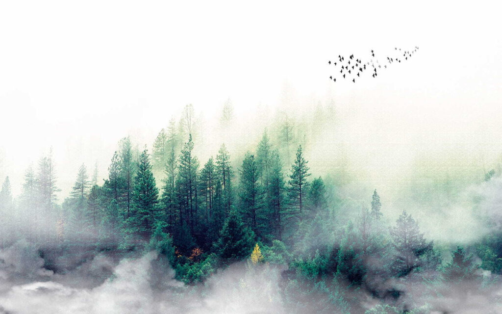 Vögel fliegen über einen Wald Vögel fliegen über einen Wald