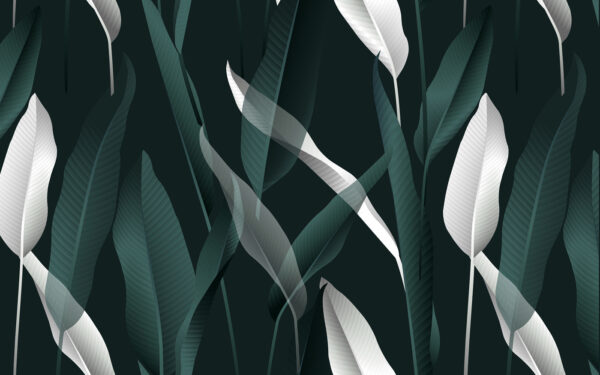Elegante Blätter auf einem dunklen Hintergrund u10347p 600x375 - Elegante Blätter auf einem dunklen Hintergrund