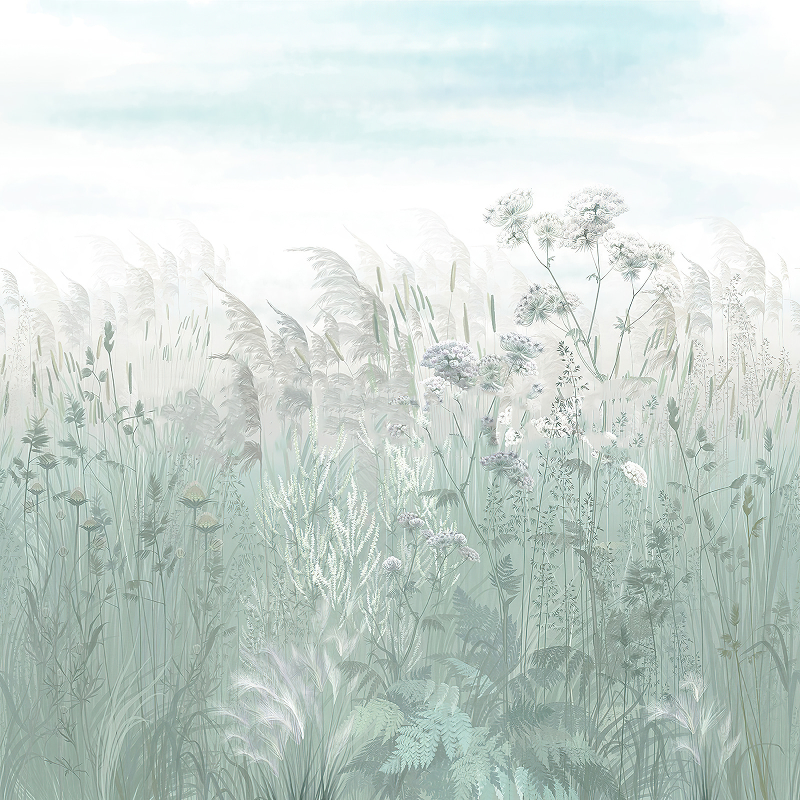 Feld mit Gras und Blumen u00104v3p - Feld mit Gras und Blumen - tegory