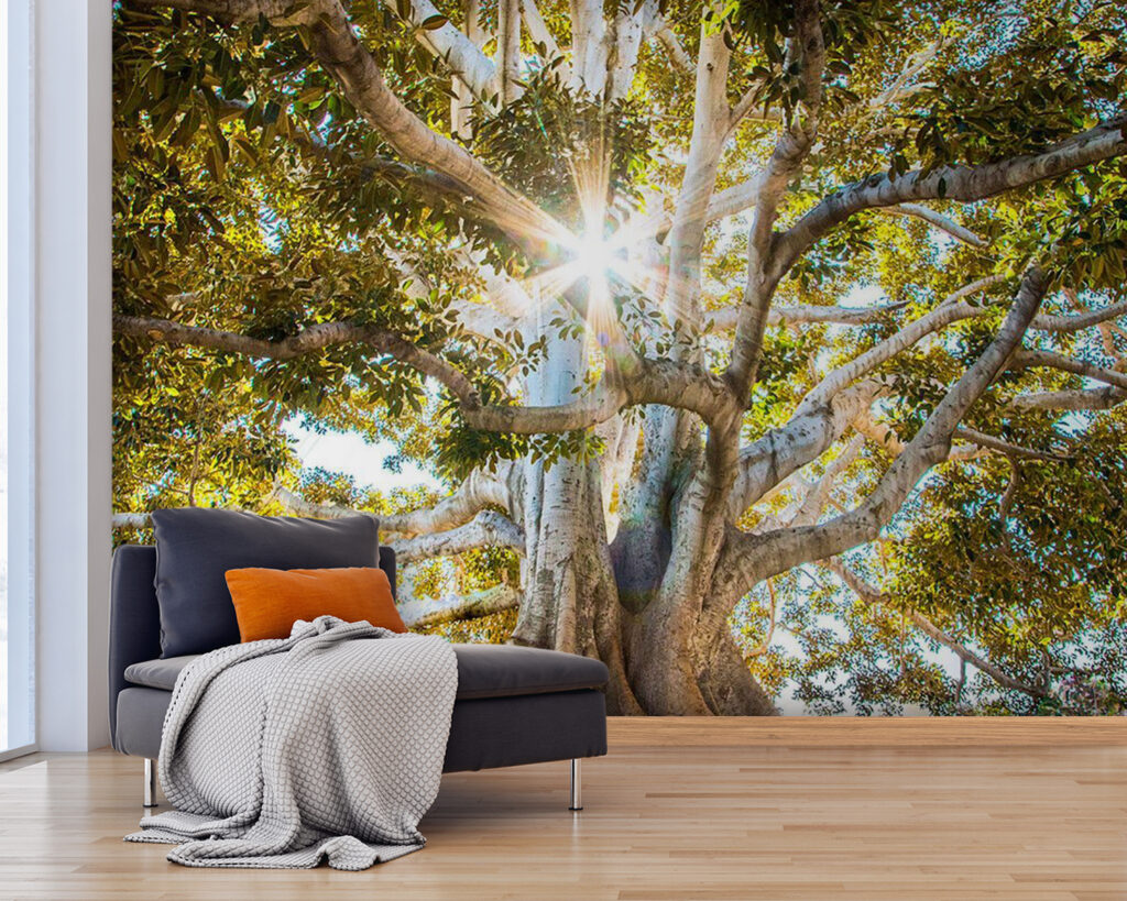 Majestätischer Baum im strahlenden Sonnenlicht u01271pig25 1024x819 - Majestätischer Baum im strahlenden Sonnenlicht - tegory