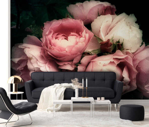 Gruppe von rosa und weißen Rosen Gruppe von rosa und weißen Rosen