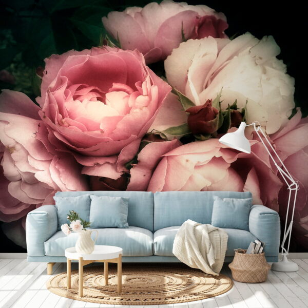 Gruppe von rosa und weißen Rosen Gruppe von rosa und weißen Rosen