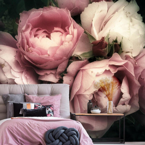 Gruppe von rosa und weißen Rosen Gruppe von rosa und weißen Rosen