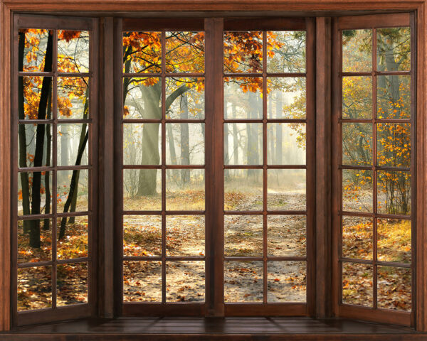 Fenster mit Bäumen und einem Weg durch das Fenster Fenster mit Bäumen und einem Weg durch das Fenster