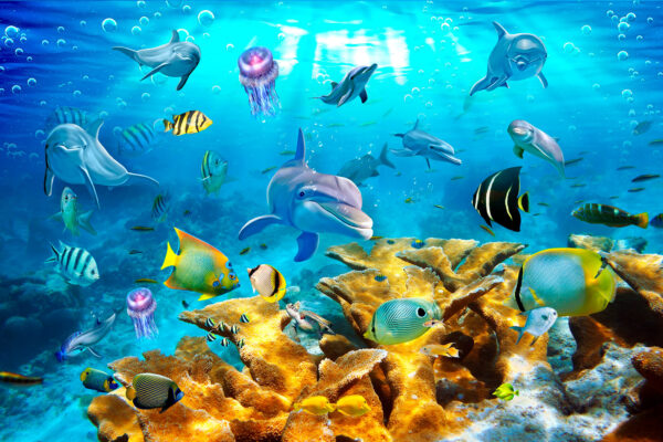 Eine Gruppe von Fischen schwimmt im Wasser Eine Gruppe von Fischen schwimmt im Wasser