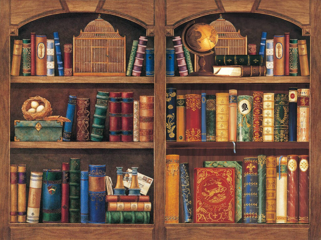 Bücherregal voll mit Büchern Bücherregal voll mit Büchern