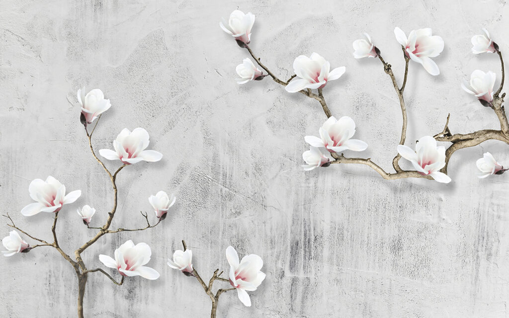 Weiße Blumen auf weißem Hintergrund Weiße Blumen auf weißem Hintergrund