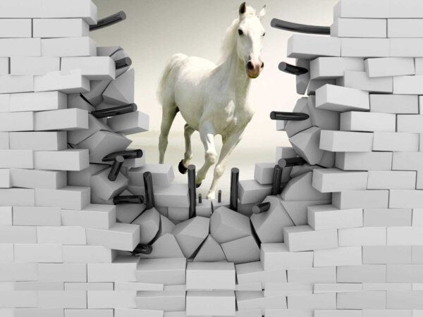 Pferd läuft durch eine Wand Pferd läuft durch eine Wand