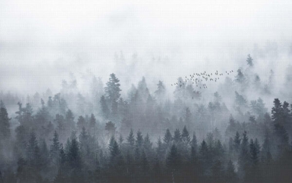 Eine Gruppe von Vögeln fliegt über einen Wald Eine Gruppe von Vögeln fliegt über einen Wald