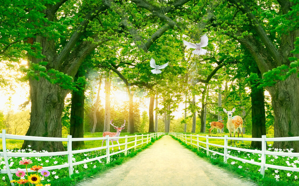 Weg mit Bäumen und weißem Zaun und Rehen Weg mit Bäumen und weißem Zaun und Rehen