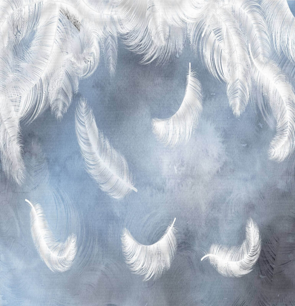 Weiße Federn auf blauem Hintergrund u23747p 986x1024 - Weiße Federn auf blauem Hintergrund - tegory