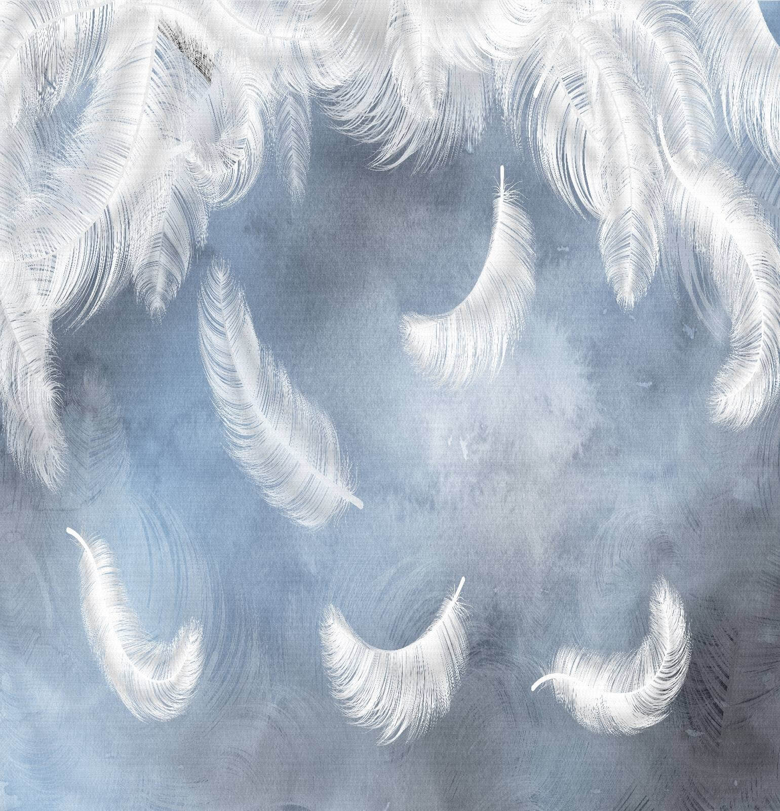 Weiße Federn auf blauem Hintergrund u23747p - Weiße Federn auf blauem Hintergrund - tegory