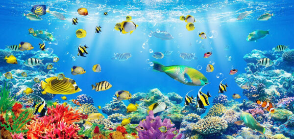 Eine Gruppe von Fischen schwimmt im Wasser Eine Gruppe von Fischen schwimmt im Wasser