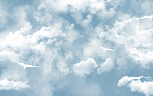 Group of birds in the sky