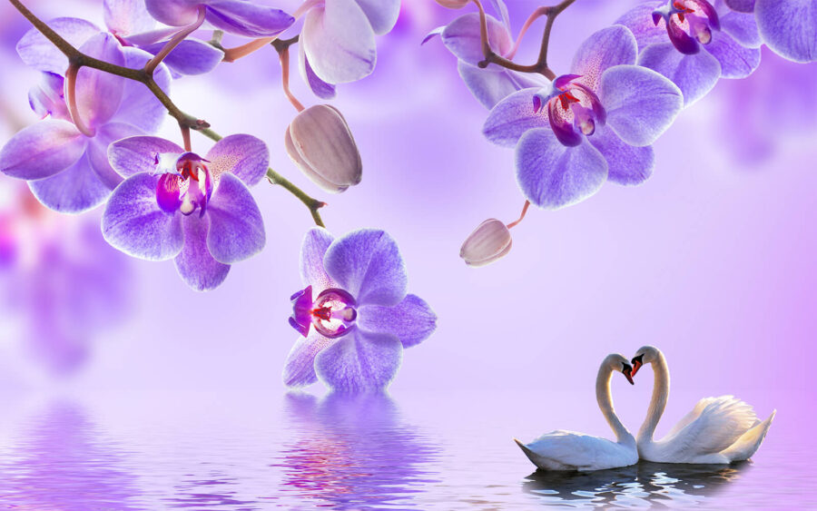 Zwei Schwäne in einem See mit lila Blumen