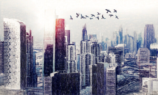 Vögel fliegen über eine Stadt Vögel fliegen über eine Stadt