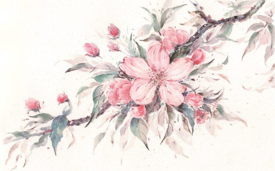 Malerei von rosa Blumen auf einem Zweig u29797p 900x562 - Malerei von rosa Blumen auf einem Zweig - tegory