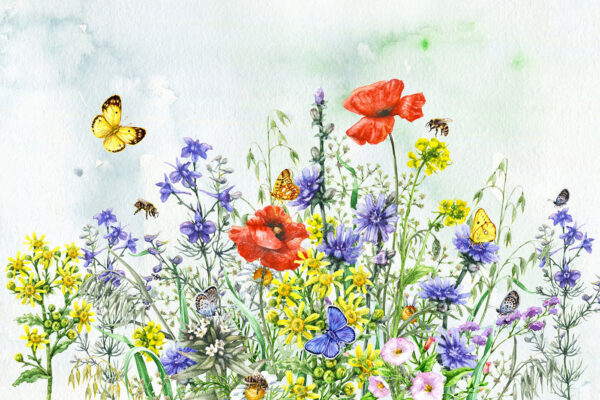 Painting of flowers and butterflies