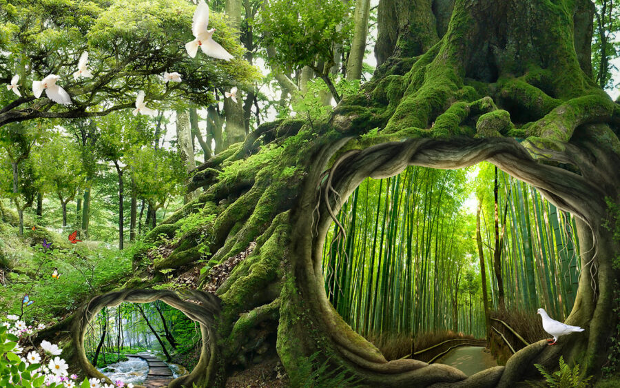 Baum mit einem Loch in der Mitte Baum mit einem Loch in der Mitte