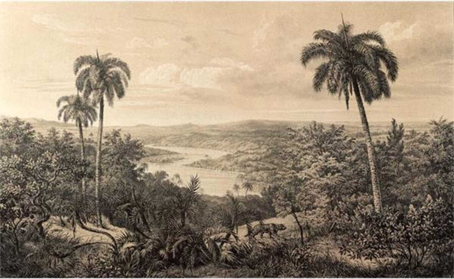 Landschaft mit Bäumen und einem Fluss