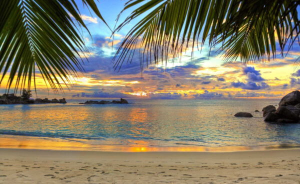 Strand mit Palmen und Wasser Strand mit Palmen und Wasser