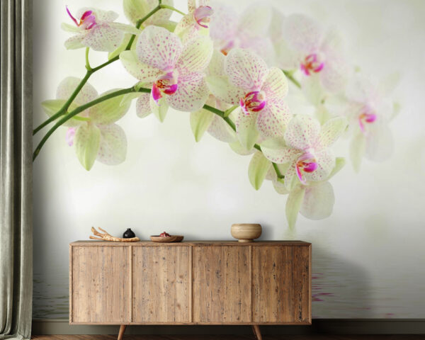 Zarte Orchideen über sanftem Wasser. Zarte Orchideen über sanftem Wasser.