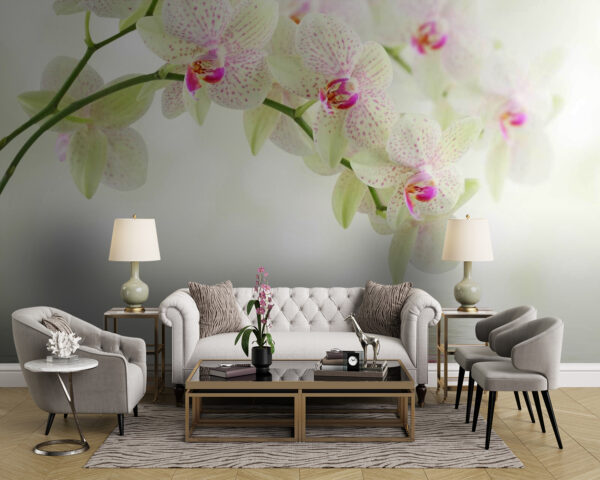 Zarte Orchideen über sanftem Wasser. Zarte Orchideen über sanftem Wasser.