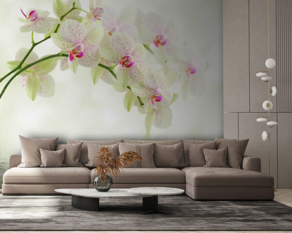 Zarte Orchideen über sanftem Wasser. Zarte Orchideen über sanftem Wasser.