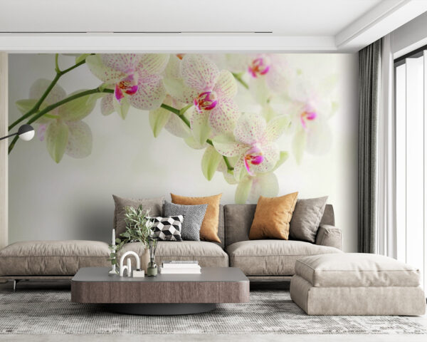 Zarte Orchideen über sanftem Wasser. Zarte Orchideen über sanftem Wasser.