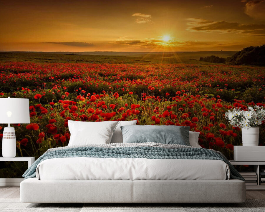 Feld mit roten Blumen Feld mit roten Blumen