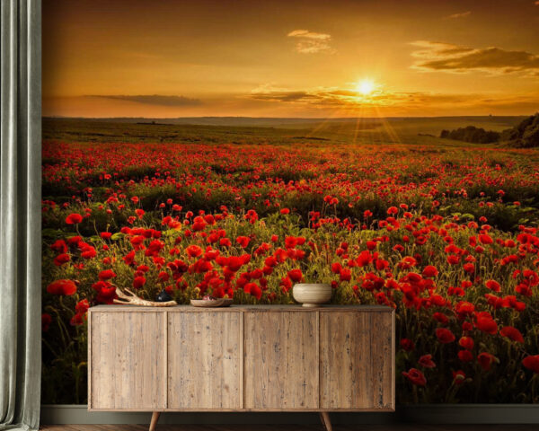 Feld mit roten Blumen Feld mit roten Blumen