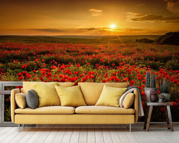 Feld mit roten Blumen Feld mit roten Blumen