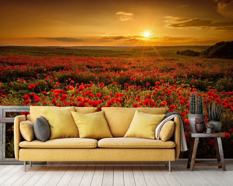 Feld mit roten Blumen Feld mit roten Blumen