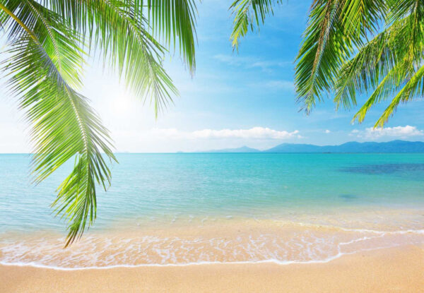 Strand mit Palmen und blauem Wasser Strand mit Palmen und blauem Wasser