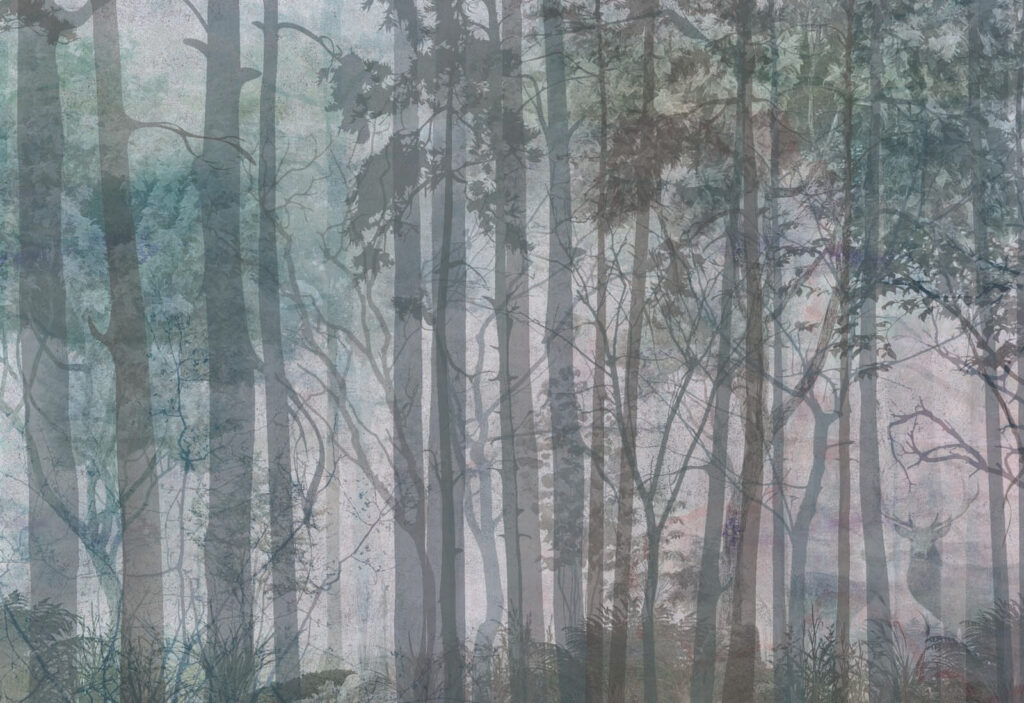 Gruppe von Bäumen in einem Wald Gruppe von Bäumen in einem Wald