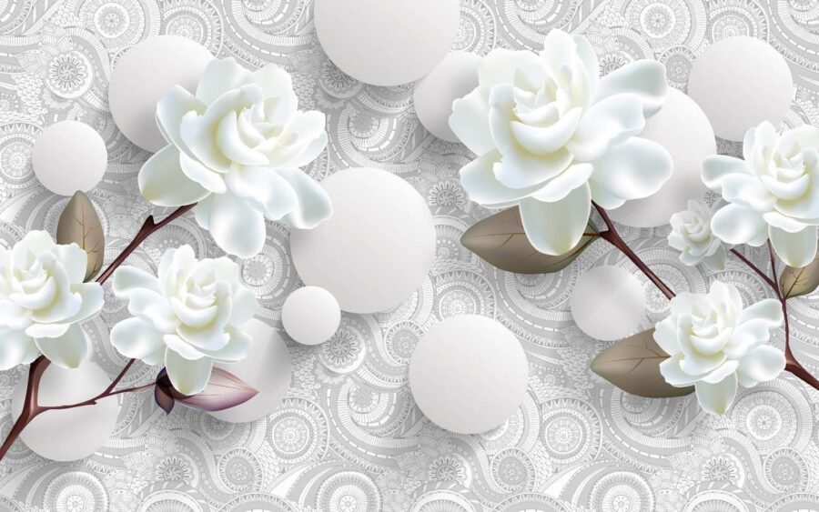 Weiße Blumen und Kreise auf einem weißen Hintergrund Weiße Blumen und Kreise auf einem weißen Hintergrund
