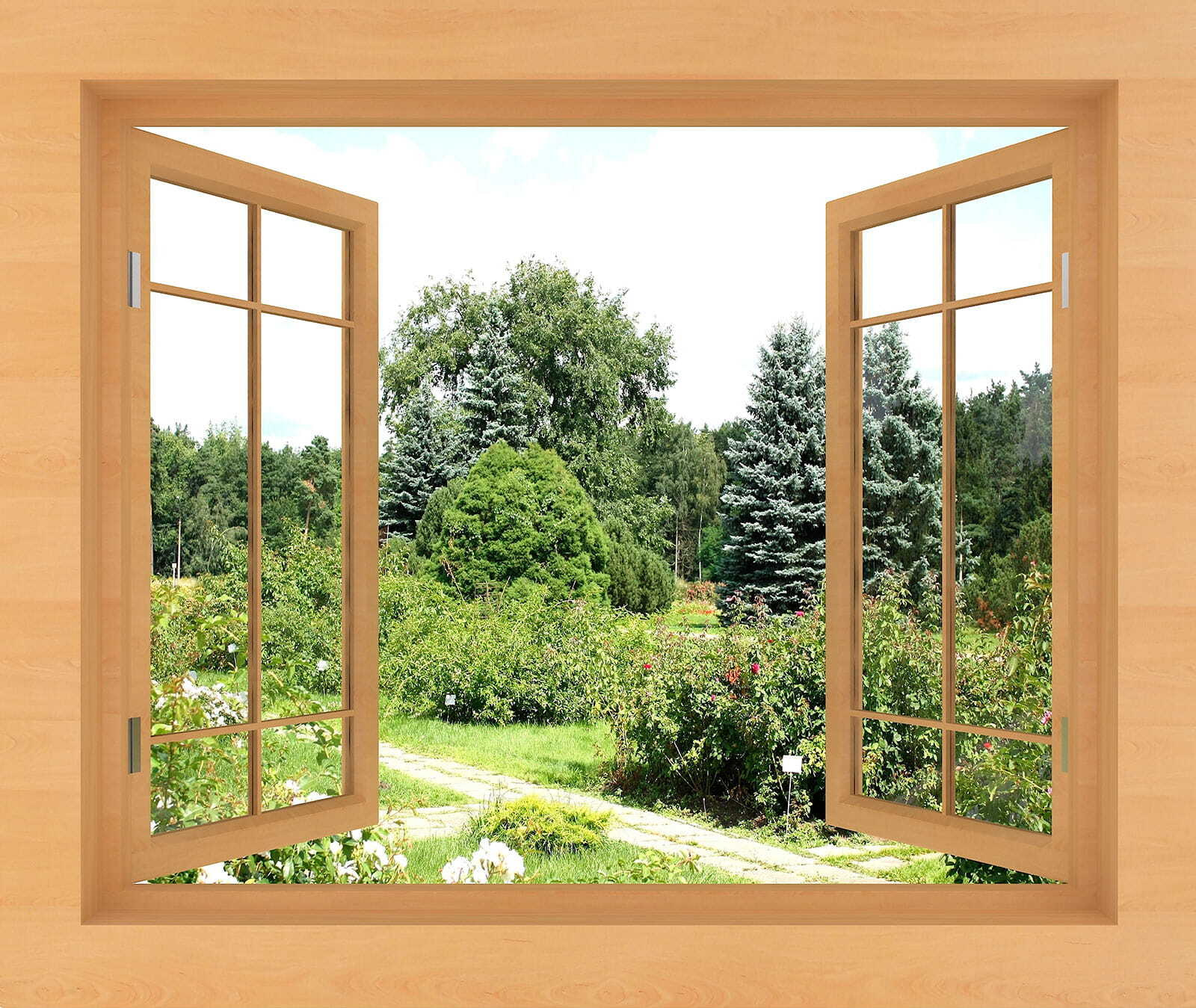 Fenster mit Bäumen und einem Weg durch das Fenster u60673p - Fenster mit Bäumen und einem Weg durch das Fenster