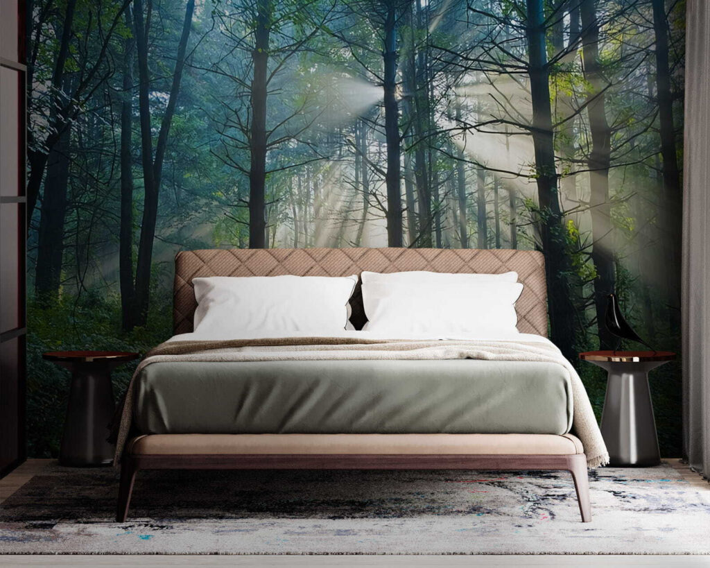 u70959pib1m 1024x819 - Die Sonne scheint durch die Bäume eines Waldes - tegory