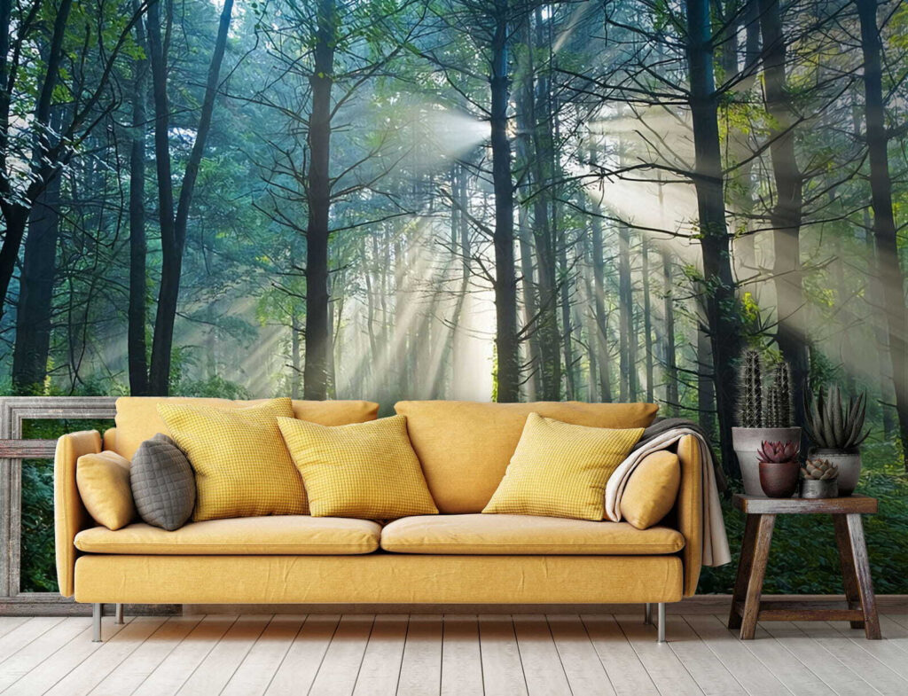 u70959pig1 1024x785 - Die Sonne scheint durch die Bäume eines Waldes - tegory