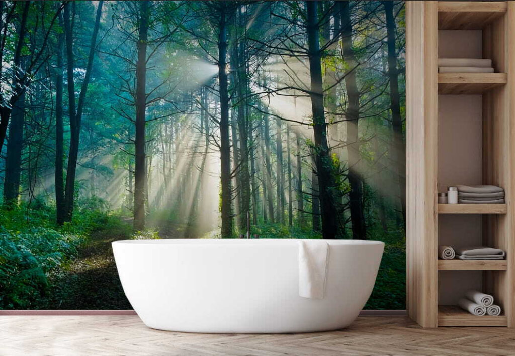 u70959pit1 1024x709 - Die Sonne scheint durch die Bäume eines Waldes - tegory